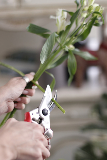 Уход за букетом дома