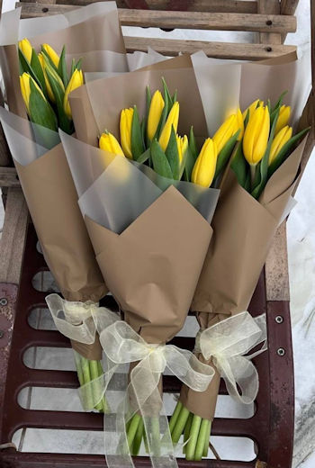 Мастер-класс Сборка букетов из тюльпанов