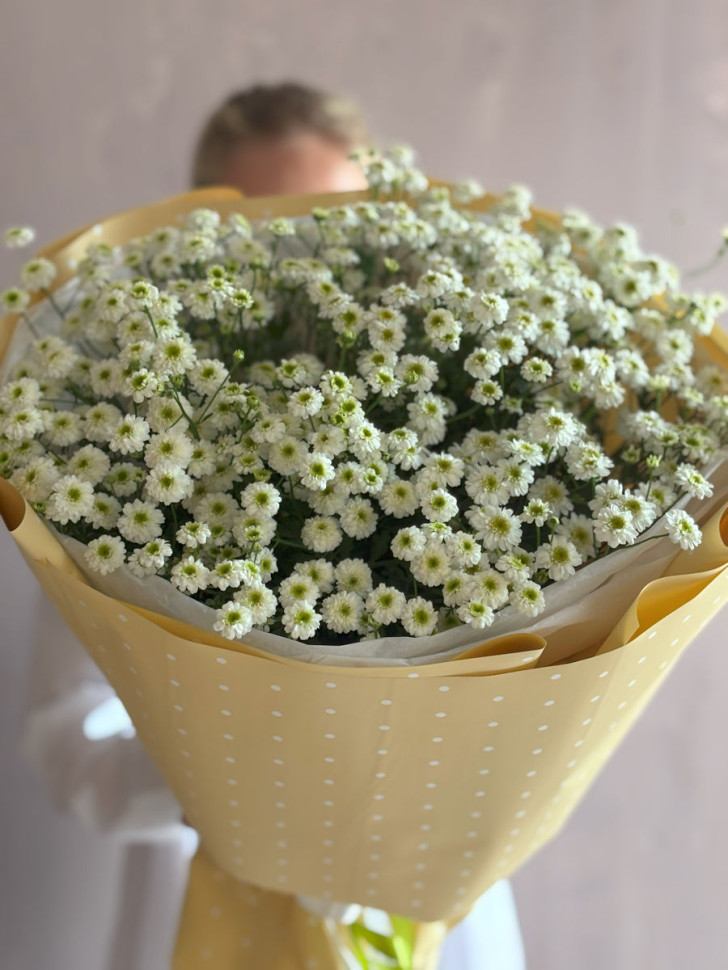 Букет из 15 кустовых ромашек