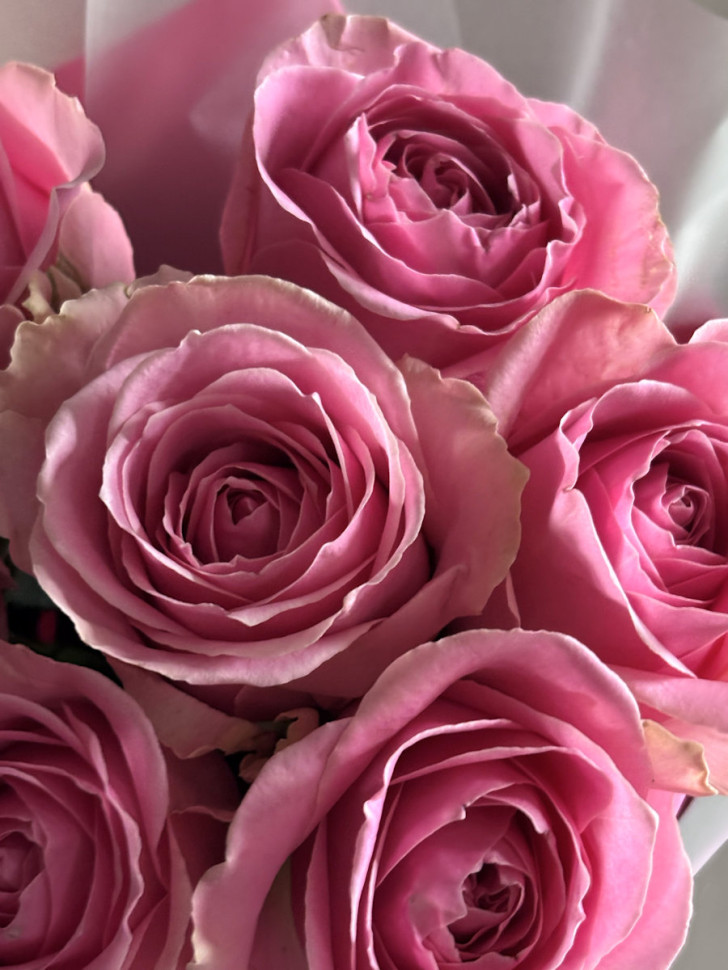 Букет «7 розовых роз»