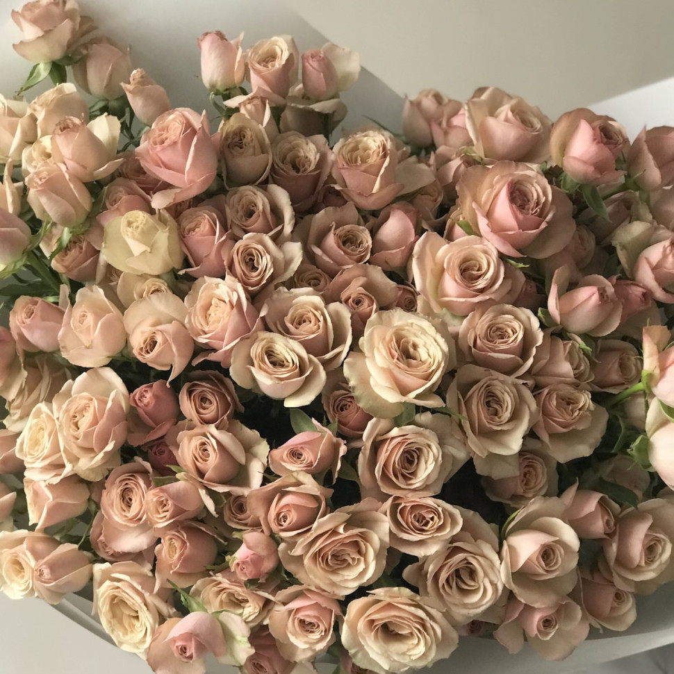 Букет из 25 кустовых роз