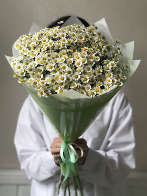 Букет из 9 ромашек