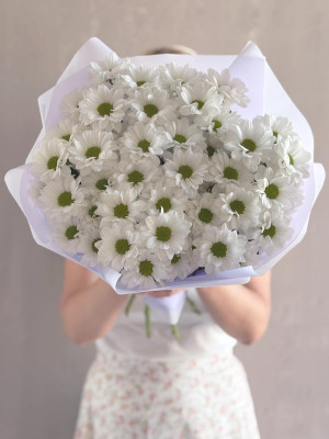 Букет из 7 кустовых хризантем «Ромашка»