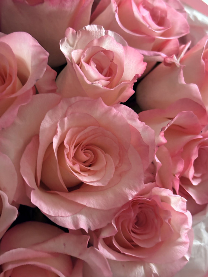 Букет «11 мгновений нежности»