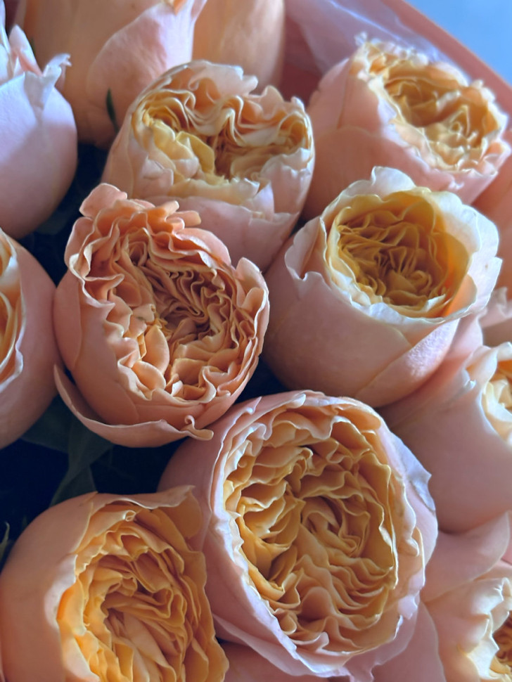 Букет «Персиковая симфония: 21 роза»