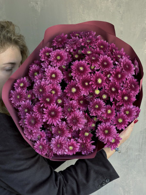 11 кустовых хризантем