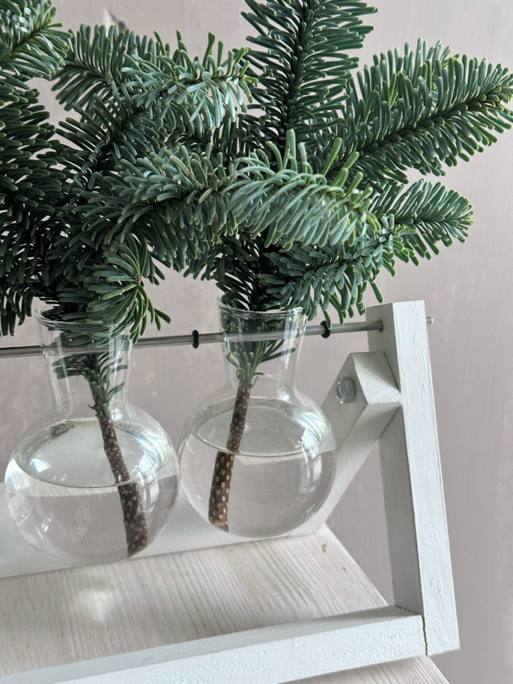 «Зимний аккорд» 