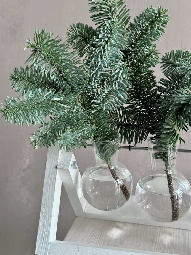 «Зимний аккорд» 