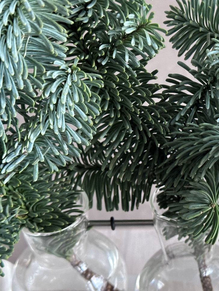 «Зимний аккорд» 