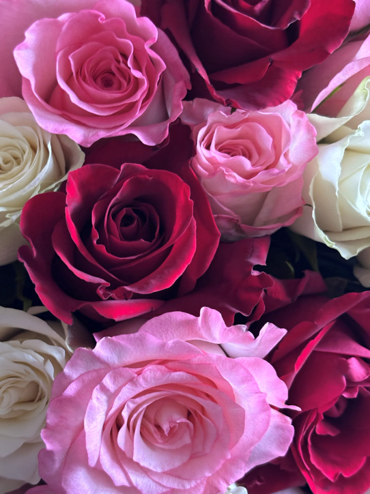 Букет из 51 розы Кения