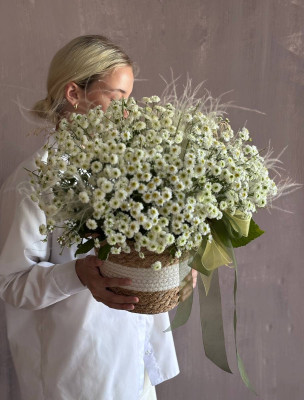 Композиция из ромашек в кашпо