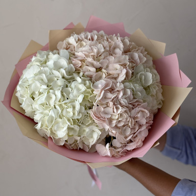 Букет из 5 гортензий