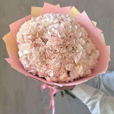 Букет из 5 сочных розовых гортензий 