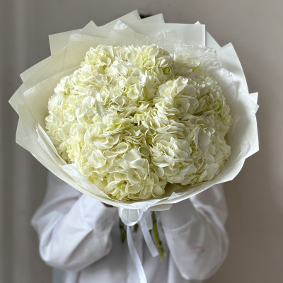 Букет из 5 кремовых гортензий