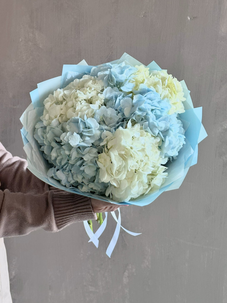 Букет из 5 гортензий