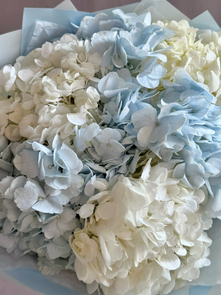 Букет из 5 гортензий