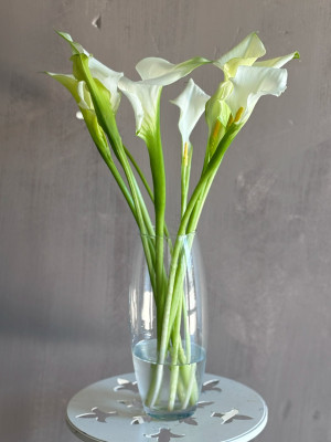 9 белых калл в вазе