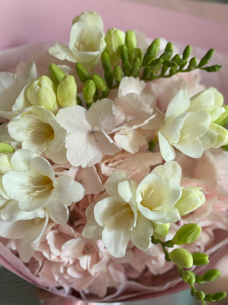 Букет из Гортензии и Фрезий