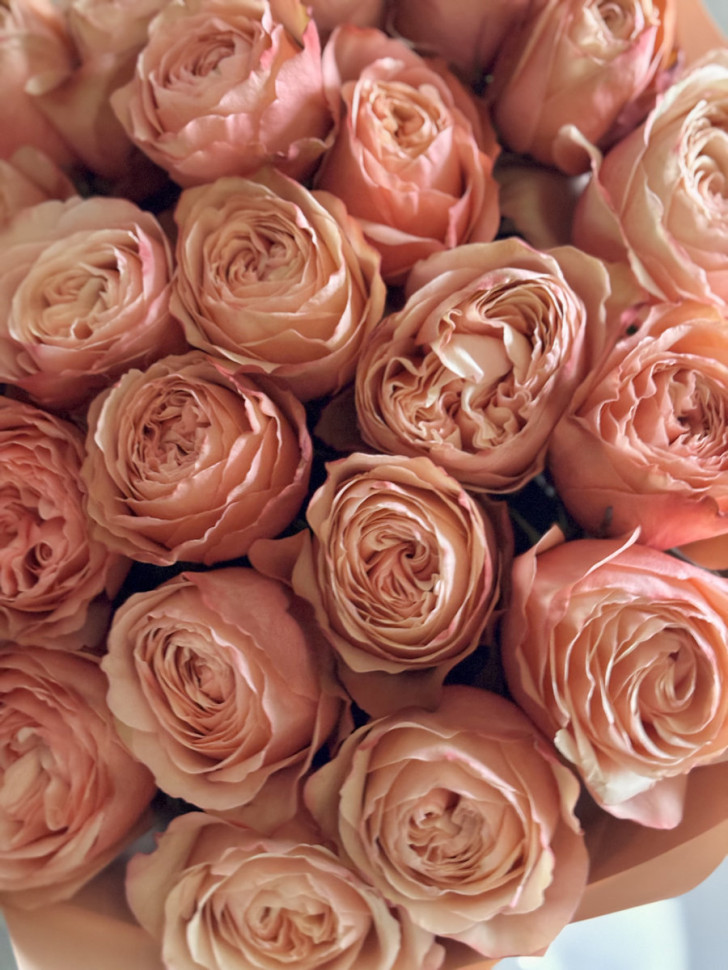 Букет из 25 роз Кахала 