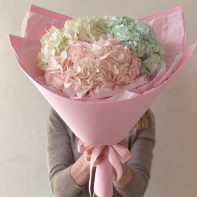 Букет из 3 разноцветных гортензий
