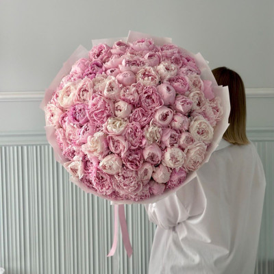 Роскошный букет из 75 пионов сорта Сара Бернар