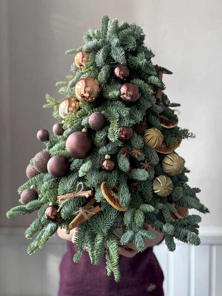 Композиция Елка из пихты Нобилис