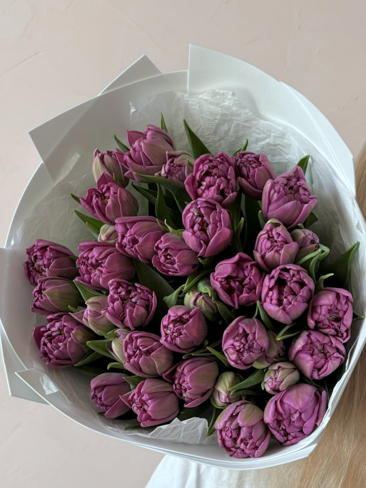 Букет из 25 пионовидных тюльпанов