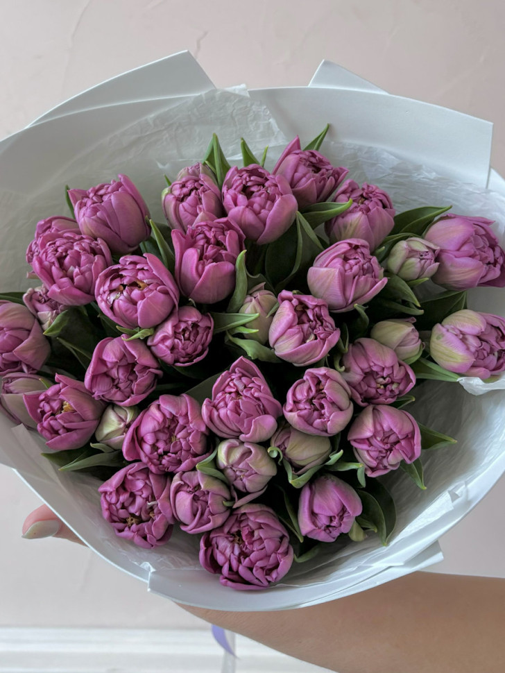 Букет из 25 пионовидных тюльпанов