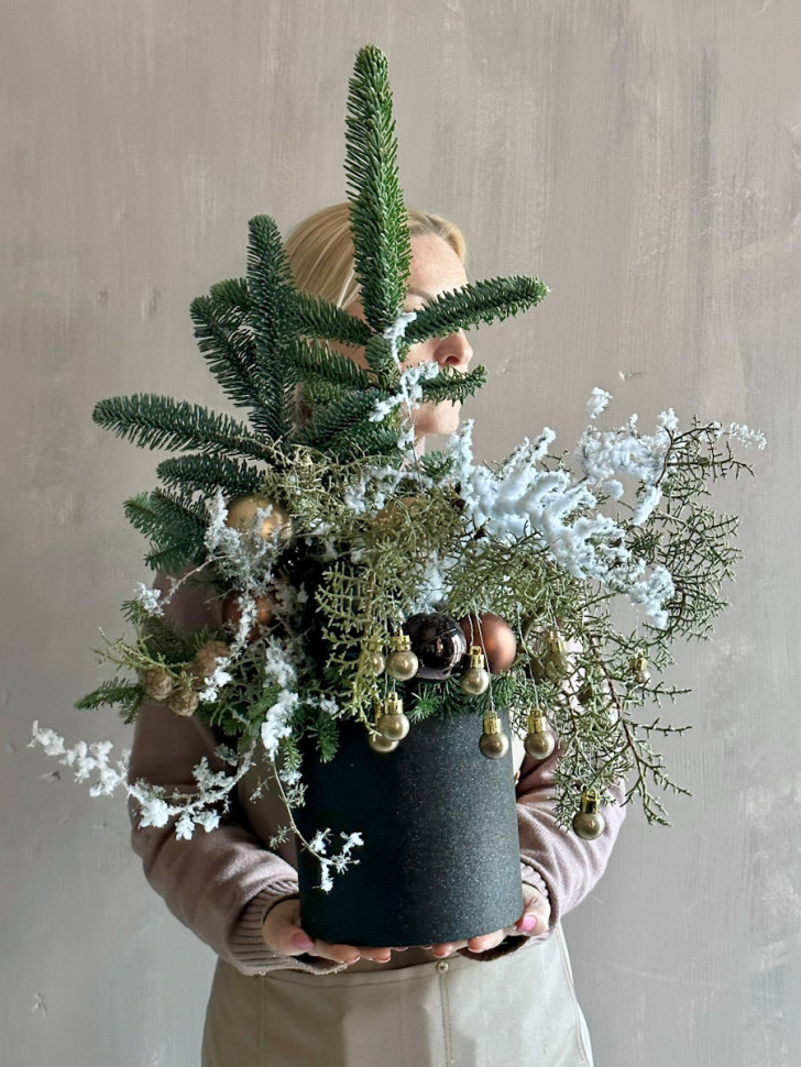 «Снежная сказка из нобилиса»