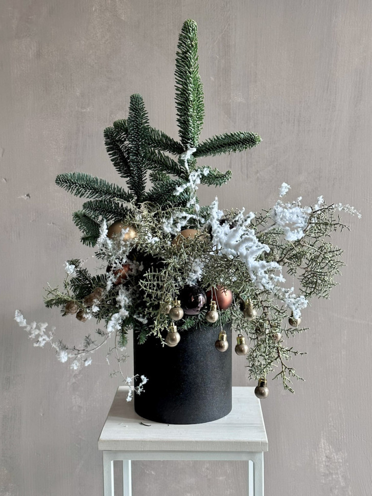 «Снежная сказка из нобилиса»