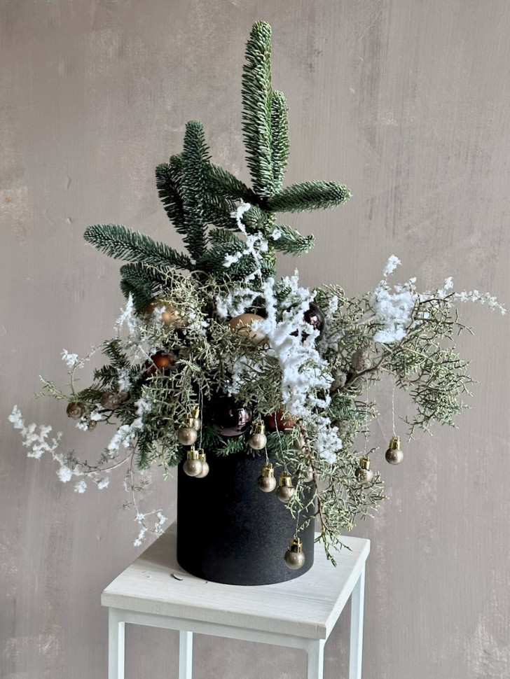 «Снежная сказка из нобилиса»