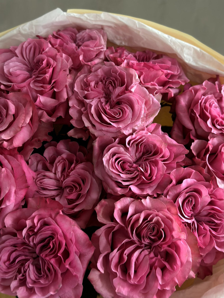 Букет из 13 пионовидных роз