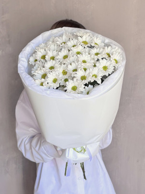 Букет из 7 белых кустовых хризантем