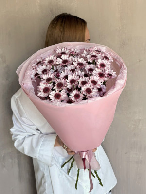 Букет из 7 манящих хризантем