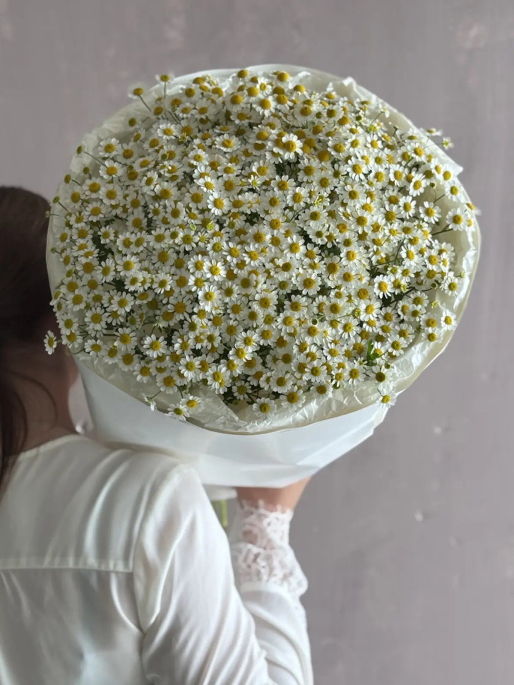 Букет из 11 кустовых ромашек 