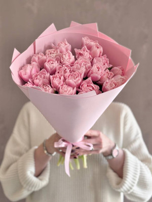 Пионовидные тюльпаны Дример (25 шт.)