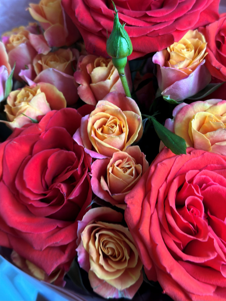 Букет «Алая страсть»