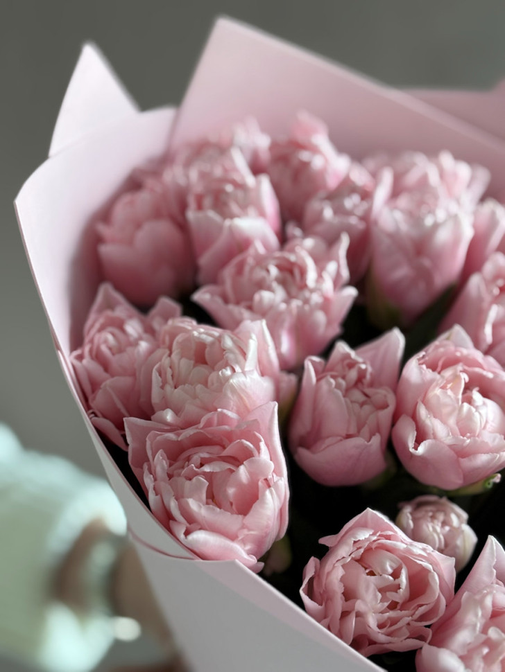 Пионовидные тюльпаны Дример (35 шт.)