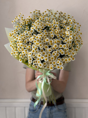 Букет из 9 ромашек Танацетум