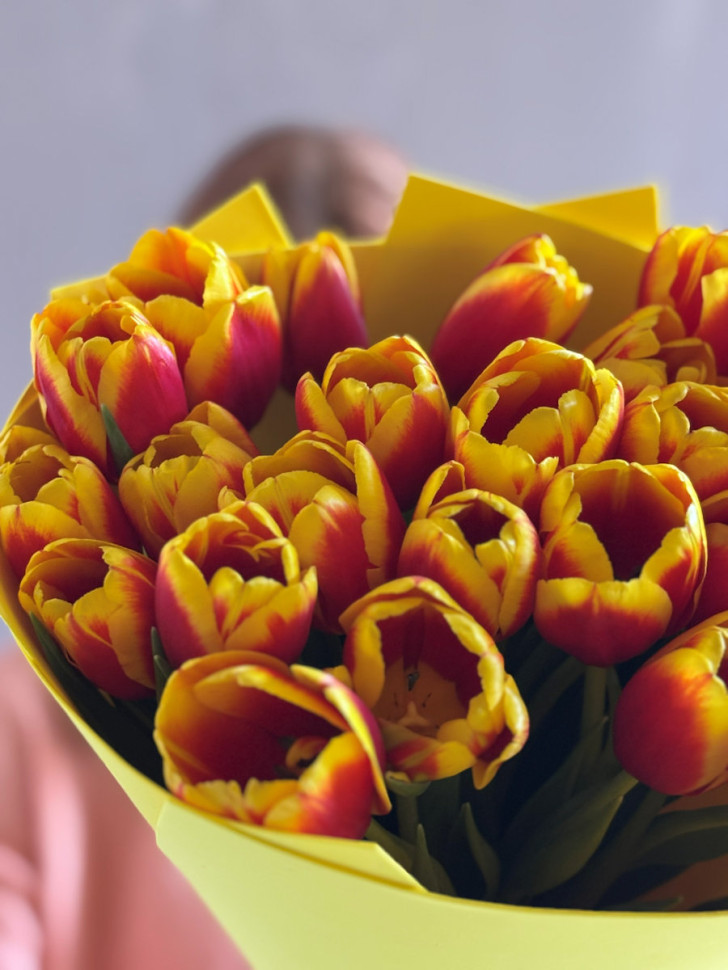 Огненный тюльпан (25 шт.)