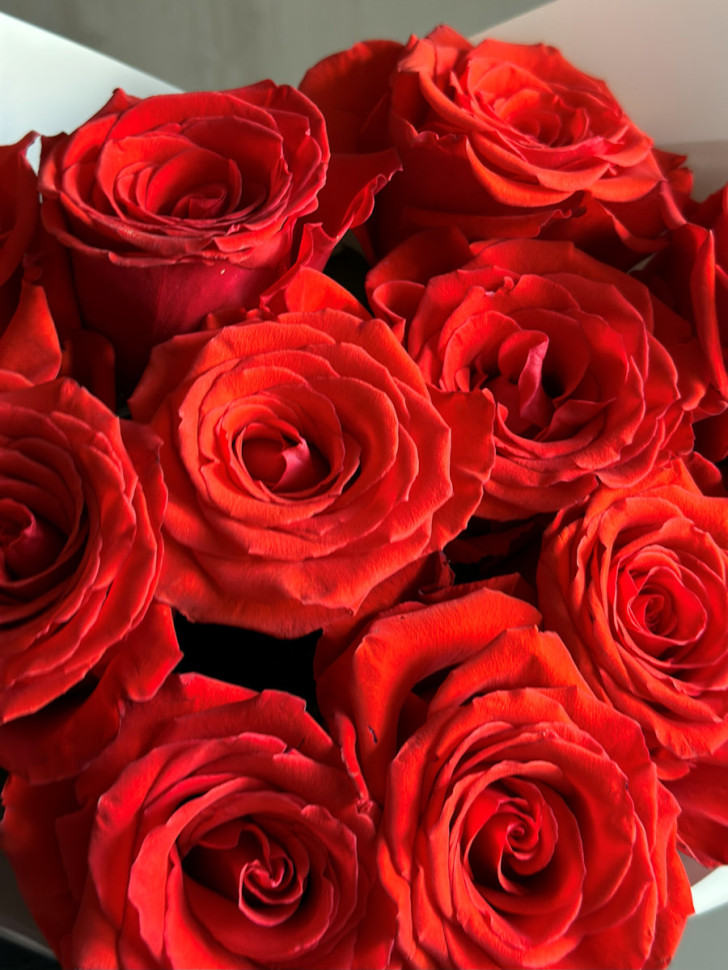 11 одноголовых роз Нина