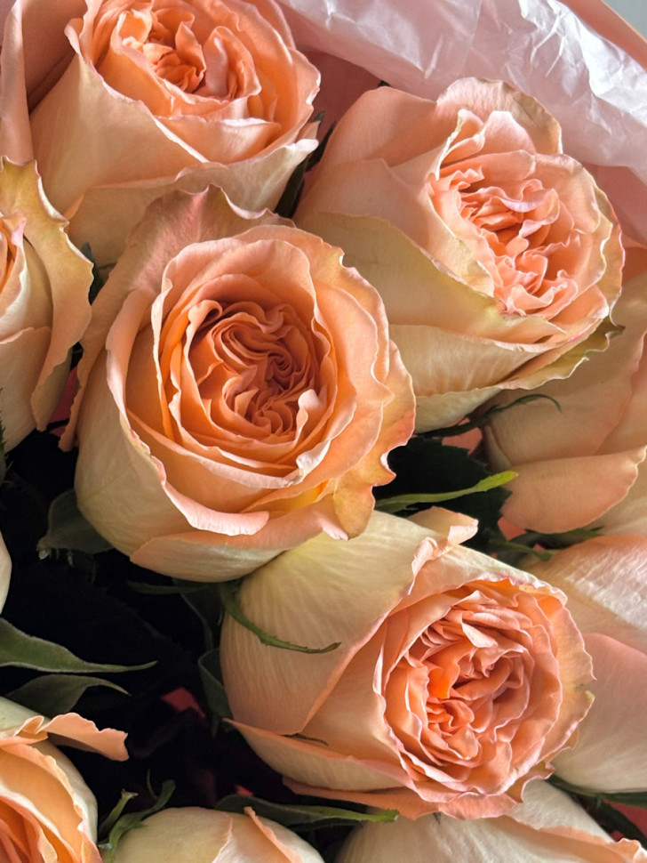 Букет из 11 пионовидных роз