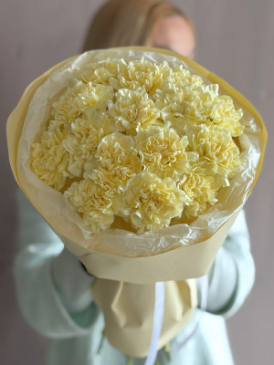 Букет из 15 кремовых диантусов