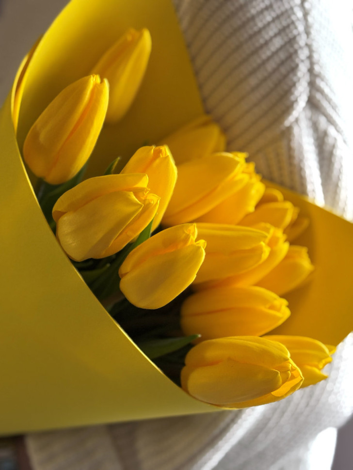 Жёлтые тюльпаны (15 шт.)