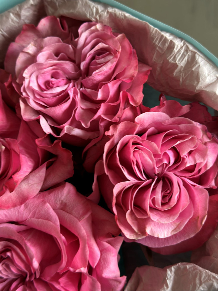 Букет из 5 пионовидных роз