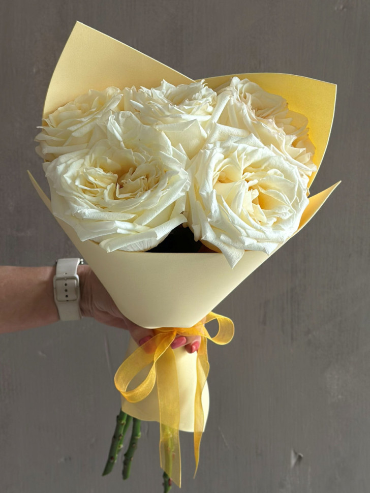 5 пионовиднвых роз Канделайт