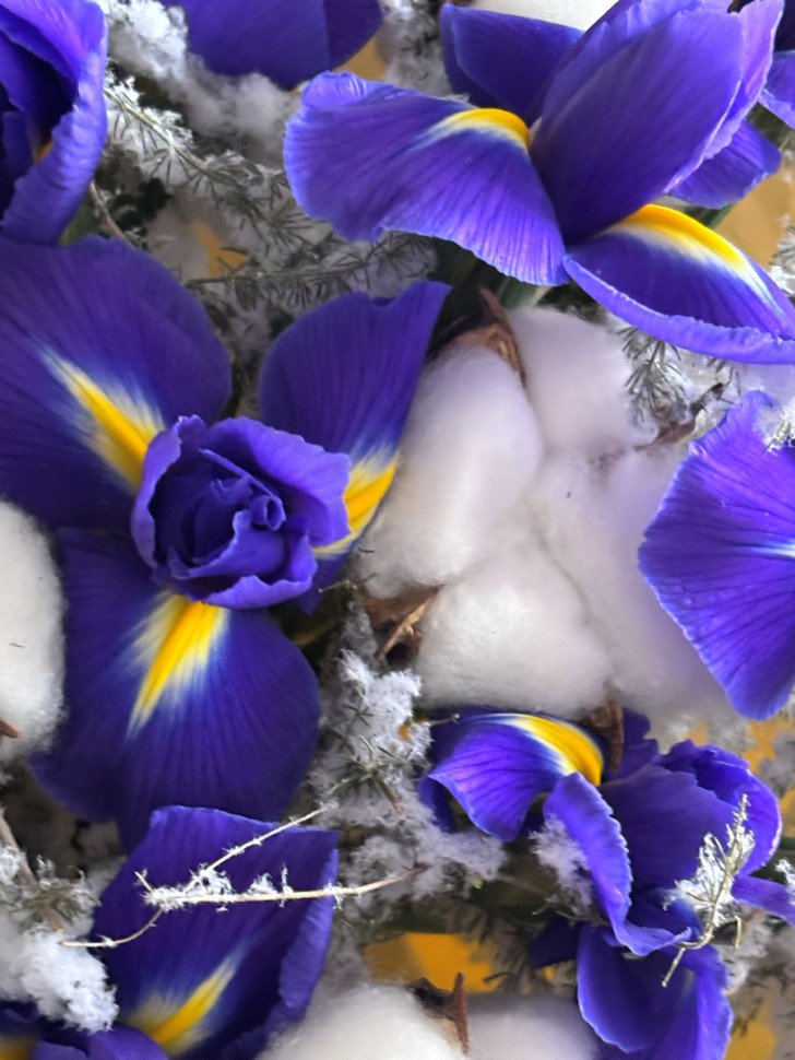 Букет «Элегия ирисов»