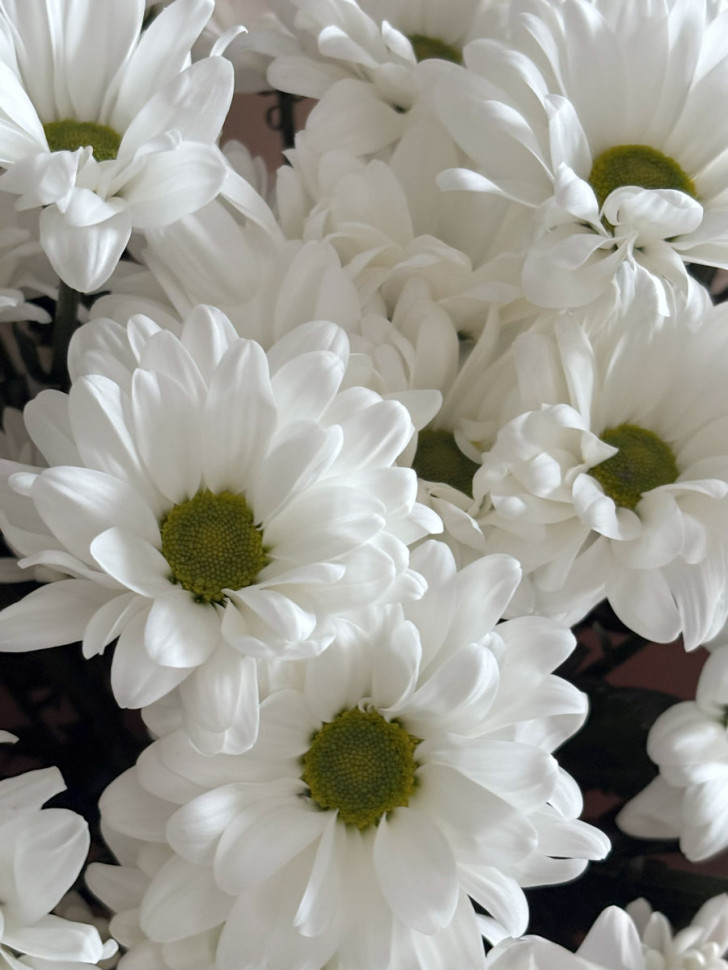 Букет «Романтическая лёгкость»