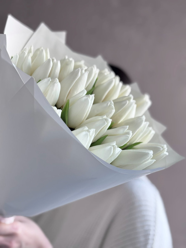 25 белых тюльпанов