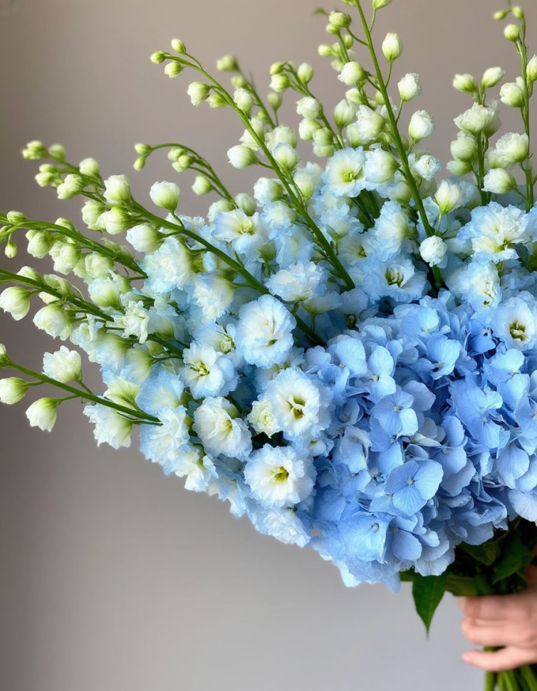 Дельфиниум